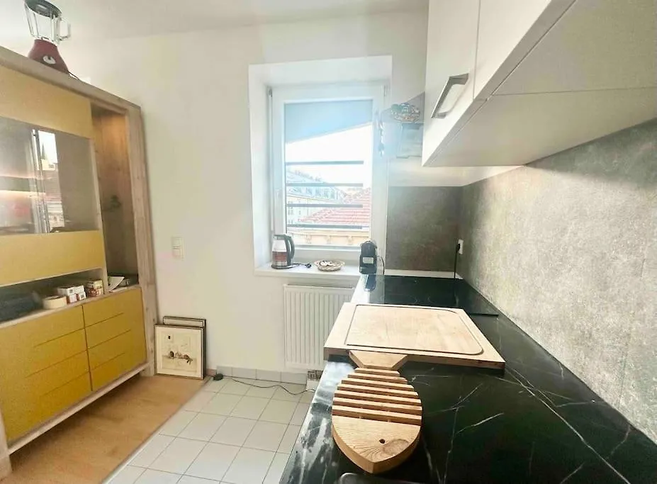Charming Flat On Top Floor With Great View Apartment Vienna